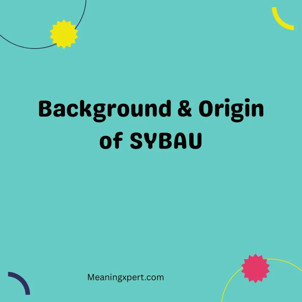 Background & Origin of SYBAU