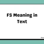 FS Meaning in Text