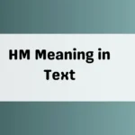 HM Meaning in Text