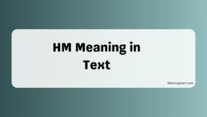 HM Meaning in Text