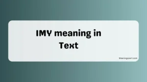 IMY meaning in Text