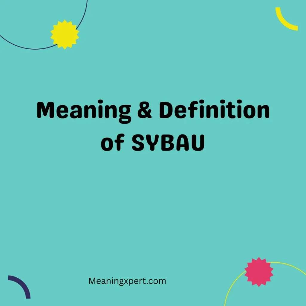 Meaning & Definition of SYBAU