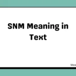 SNM Meaning in Text