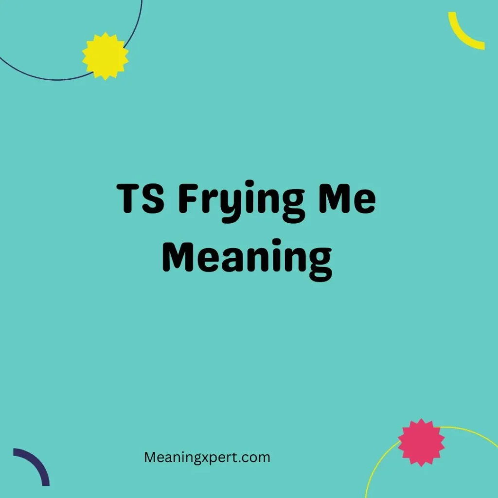 TS Frying Me Meaning