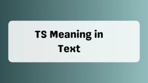 TS Meaning in Text