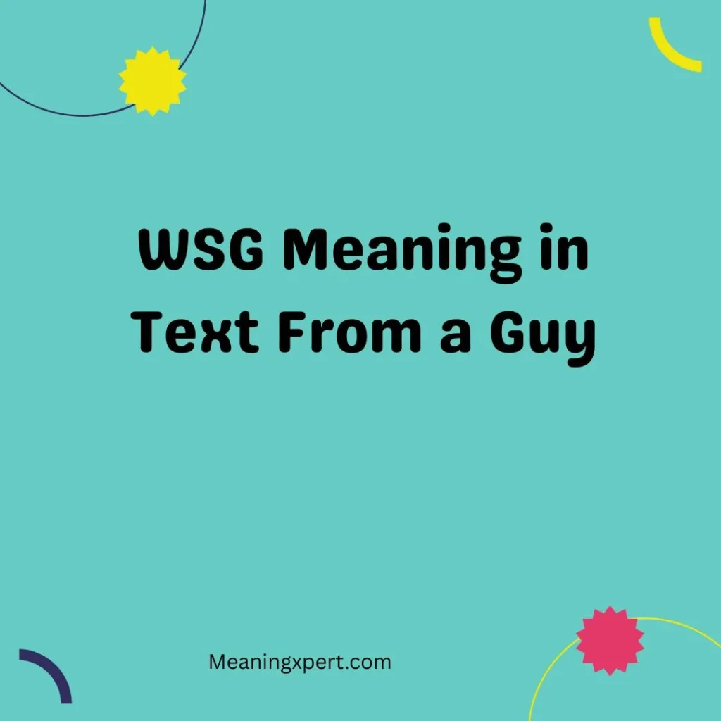 WSG Meaning in Text From a Guy