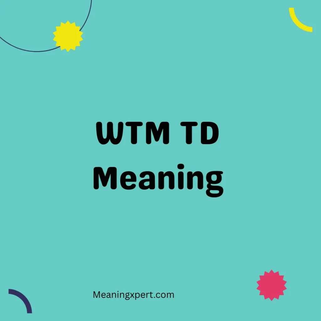 WTM TD Meaning