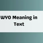 WYO Meaning in Text
