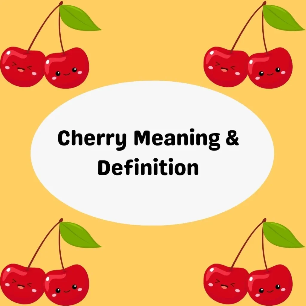 Cherry Meaning & Definition