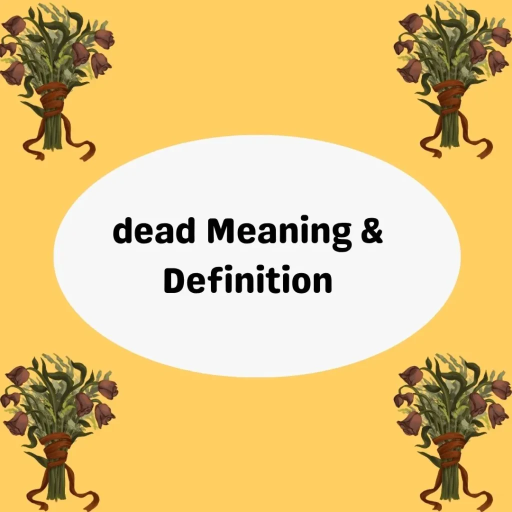 dead Meaning & Definition