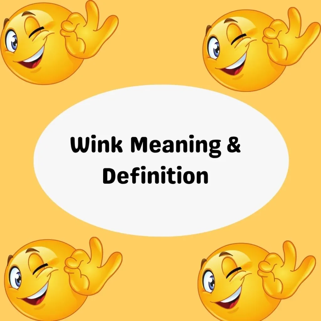 Wink Meaning & Definition