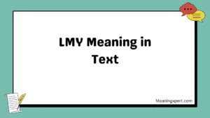 LMY Meaning in Text