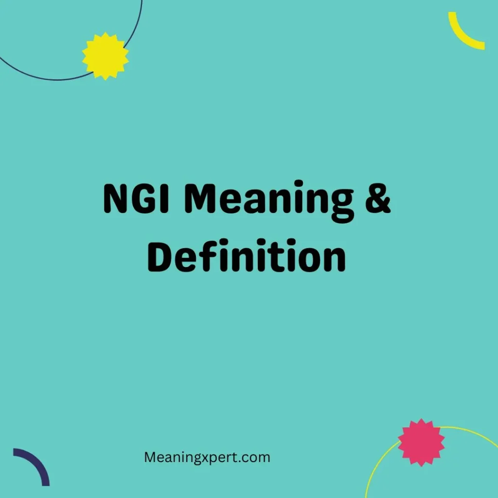 NGI Meaning & Definition