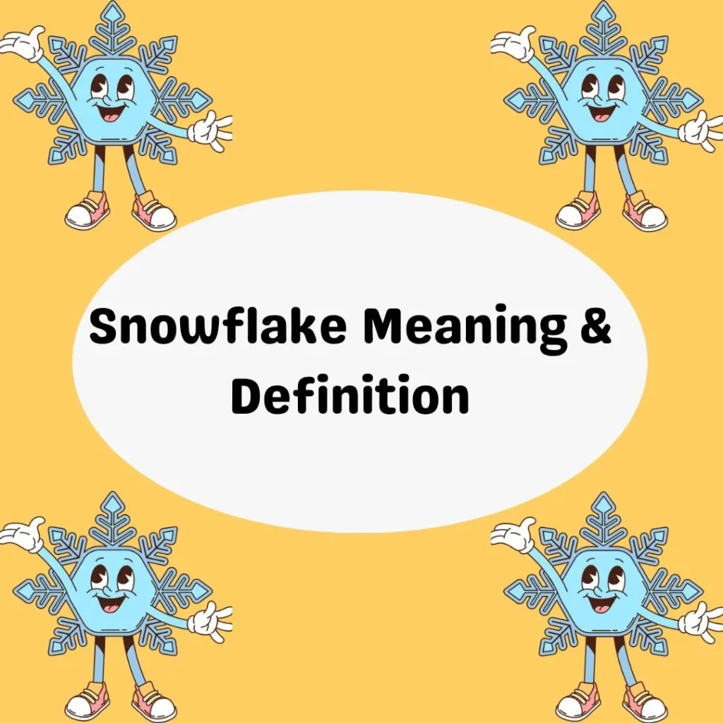 Snowflake Meaning & Definition
