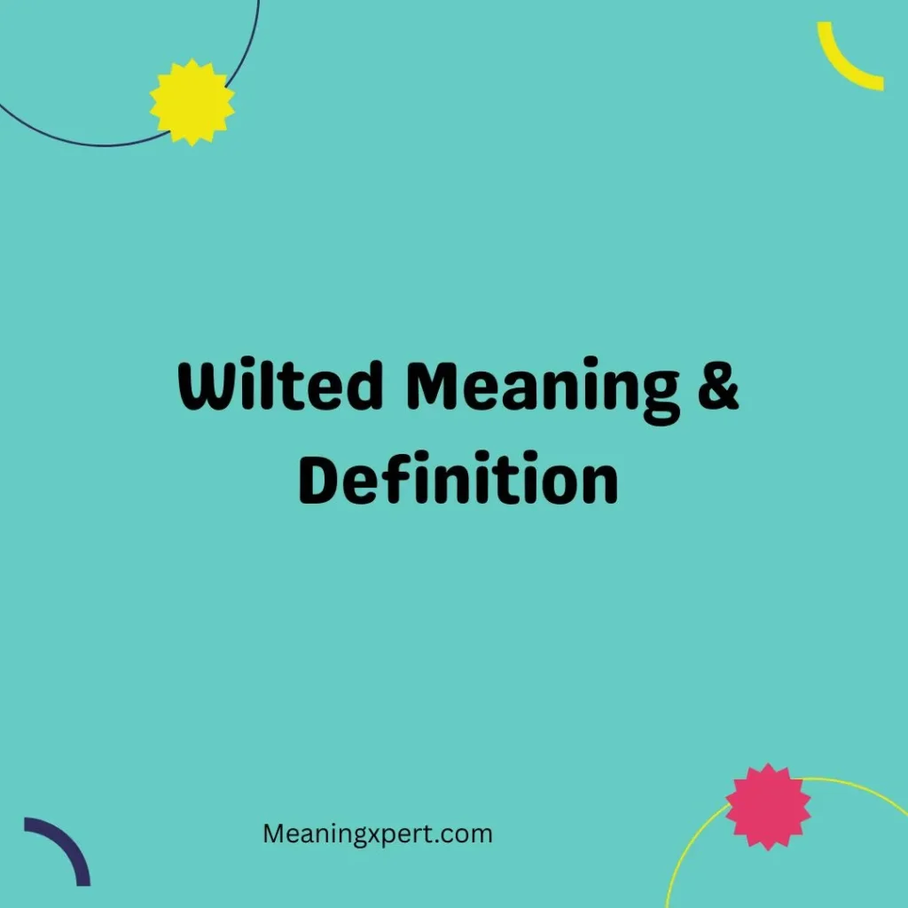 Wilted Meaning & Definition